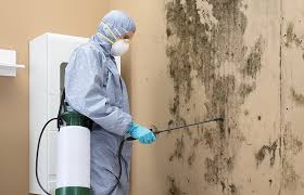 Best Emergency Mold Remediation  in New Albany, OH